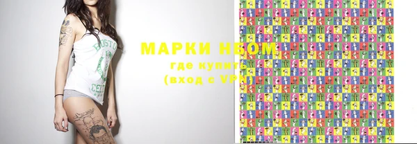 хмурый Аркадак