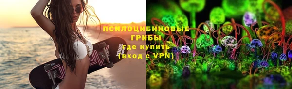 гидропоника Грязи