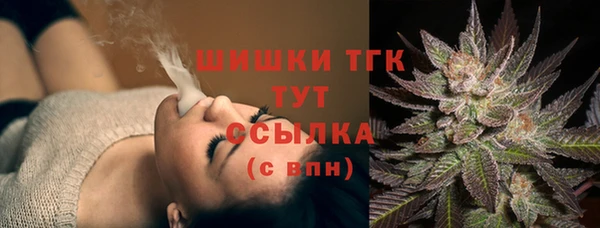 хмурый Аркадак