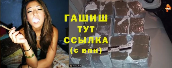 хмурый Аркадак
