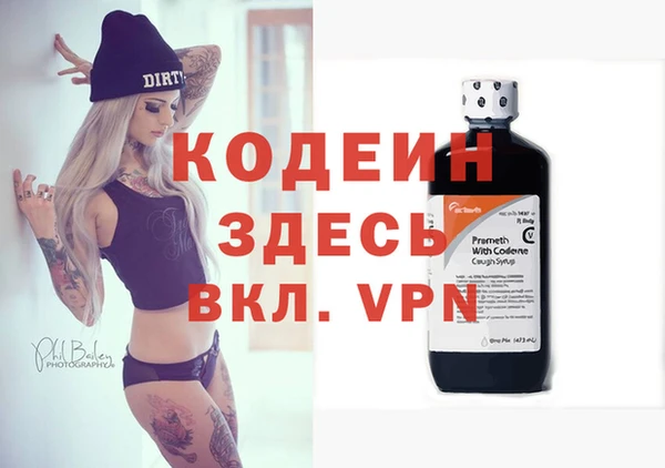 хмурый Аркадак