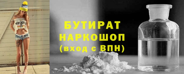 хмурый Аркадак