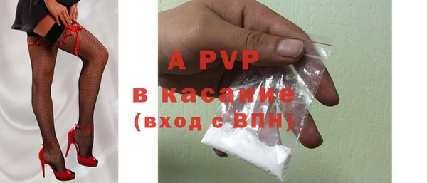 хмурый Аркадак