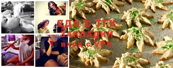хмурый Аркадак
