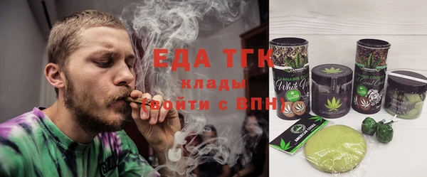 хмурый Аркадак