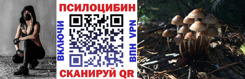 купить наркотики цена  Данков  Галлюциногенные грибы ЛСД 